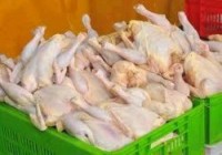 مرغ منجمد با نرخ مصوب در سبزوار در حال توریع است