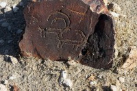 سنگ نگاره‌های هزار ساله در داورزن کشف شد